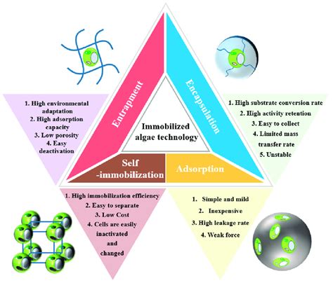 Advantages Disadvantages And Characterization Of Methods For The