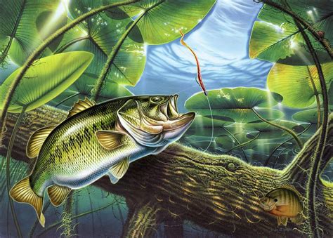 Largemouth Fish Wallpaper Fish Painting Fishing Pictures