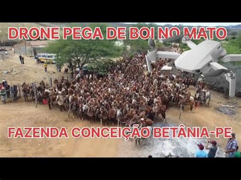 Drone Pega De Boi No Mato Fazenda Conceição BETÂNIA PE ORG LUIZINHO E