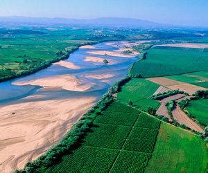 Tejo Wine Region