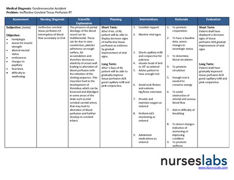 Ineffective Cerebral Tissue Perfusion Nursing Care Plan - 6 1 Putting ...