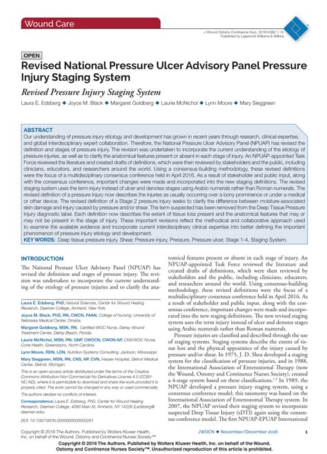 (PDF) Revised National Pressure Ulcer Advisory Panel Pressure Injury ...