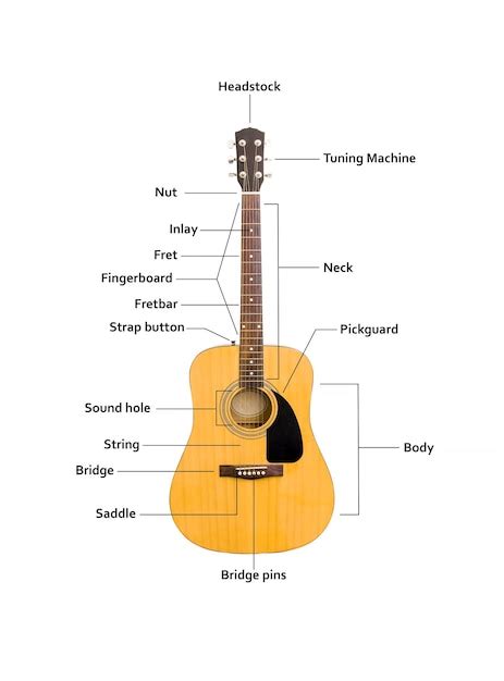 Cerca de guitarra acústica con los nombres de sus partes sobre un fondo