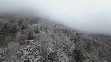 Сняг и мъгла над Кирилова поляна - Snow and fog in Rila mountain above ...