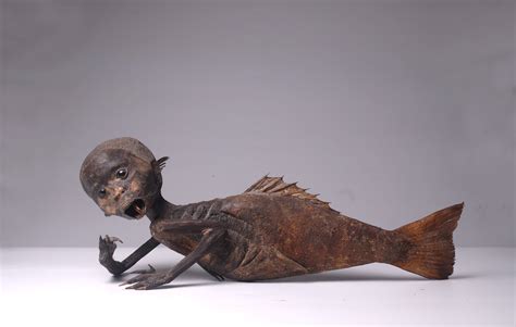 Feejee Mermaid Fiji Mermaid Mummified Mermaid Etsy