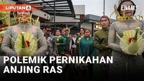 Pakai Adat Jawa Lengkap Pernikahan Anjing Jojo Luna Tuai Pro Kontra