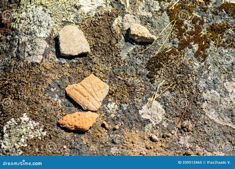 Prehistoric Pottery Shards in a Copper Age Archaeological Site Stock ...