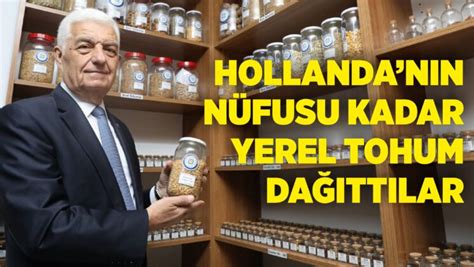 Hollandanin N Fusu Kadar Yerel Tohum Da Ittilar Dalaman Gazetesi