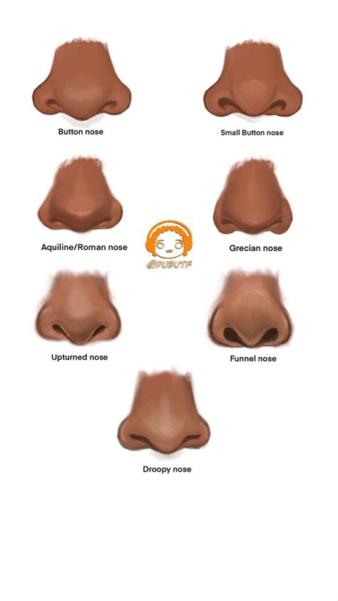 Different Types Of Noses Like Roman Funnel Button For A Nose Tiktok