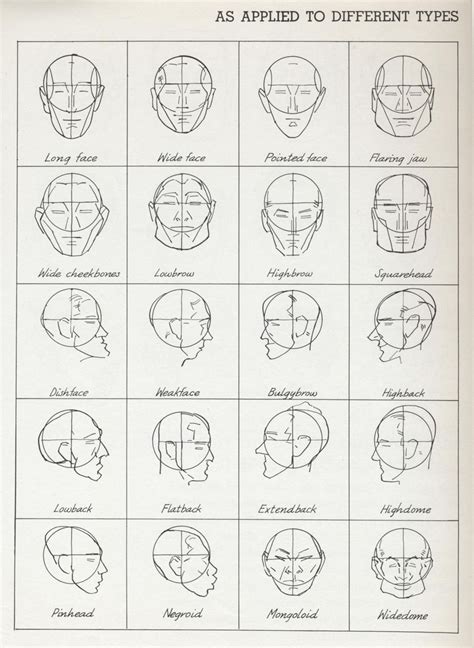 Drawings Of Head Shapes