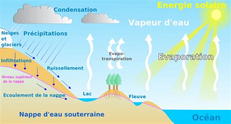 Bibliothèque Virtuelle Le Cycle De Leau Science Precipitation Map