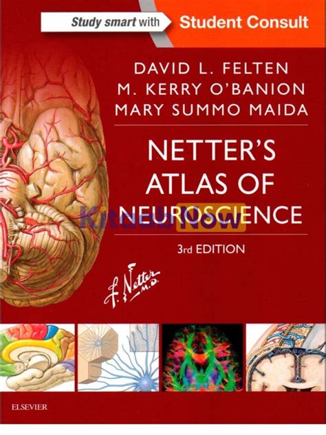 Netter S Atlas Of Neuroscience Rd Edition Kitaabnow