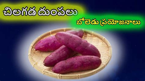 Sweet Potatoes Health Benefits వీటిని తింటే క్యాన్సర్ తో సహా దీర్ఘకాలిక వ్యాధులనుండి రక్షణ