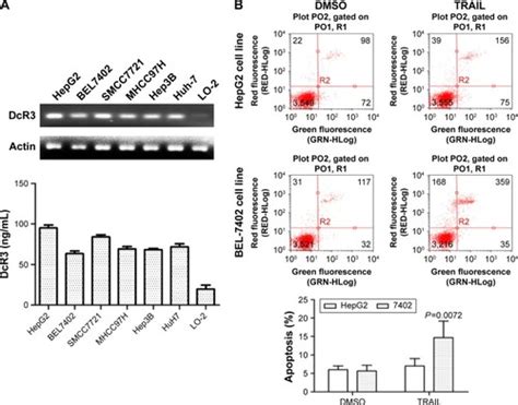 Full Article Downregulation Of Dcr3 Sensitizes Hepatocellular