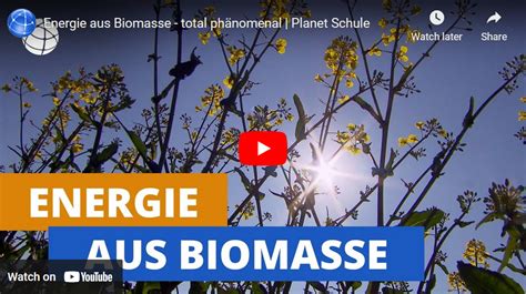 Video Energie Aus Biomasse Total Ph Nomenal Energie Macht Schule