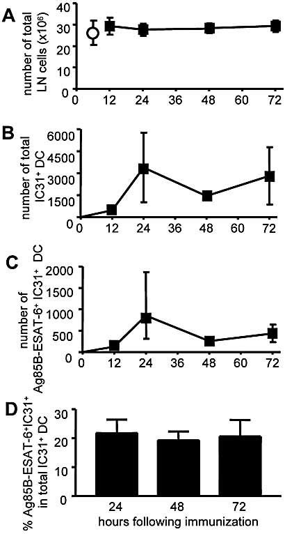 Protective Anti‐mycobacterial T Cell Responses Through Exquisite In