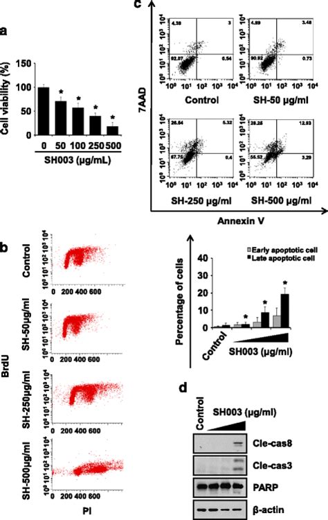 SH003 Induces Apoptosis In DU145 Cells A DU145 Cells Were Exposed To