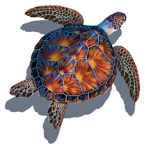 Brown Turtle With Shadow Pools And Surfaces Distributor