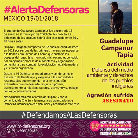 AlertaDefensoras MÉXICO Asesinan a Guadalupe Campanur defensora del