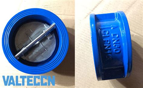 Dual Plate Check Valve Export To French China Check Valve