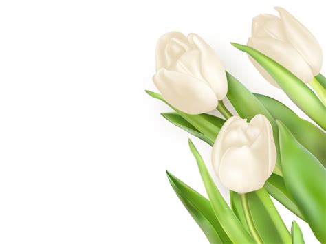 Premium Vector Tulips Decorative Background