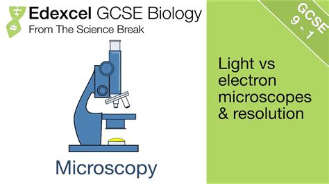 Edexcel GCSE Science And Biology Introduction To Microscopes YouTube