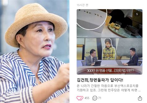 親尹논객 전여옥도 김건희 여사 명품백 팩트 직접 밝혀야용산 침묵 안돼 디지털타임스