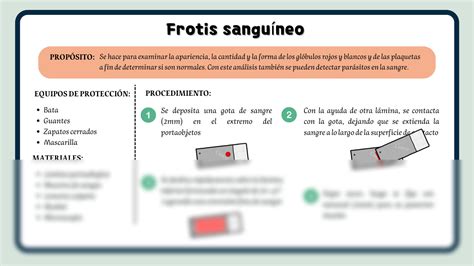 Solution Frotis Sangu Neo Y Tinci N Wright Giemsa Studypool