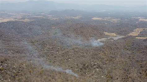 Consume Incendio Forestal En El Moral M S De Hect Reas Durante El