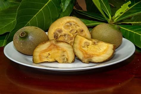 Frutas da Mata Atlântica