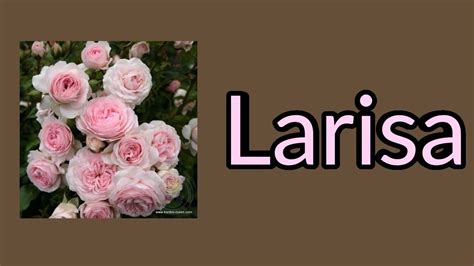 Роза Лариса. - YouTube