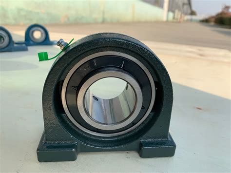 Ucpa Series Pillow Block Bearing UCPA205 206 China Stainless Steel