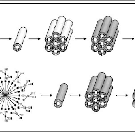 mechanism  formation  mesoporous material  scientific