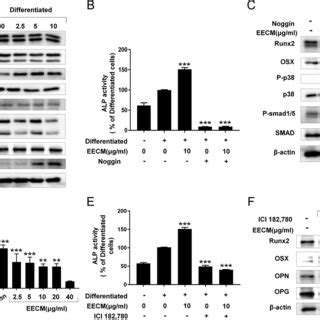 Effect Of EECM On Serum And Osteoblast Primary Cells From OVX Mice A