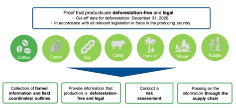 Fulfilling The Requirements Of The European Unions Regulation On