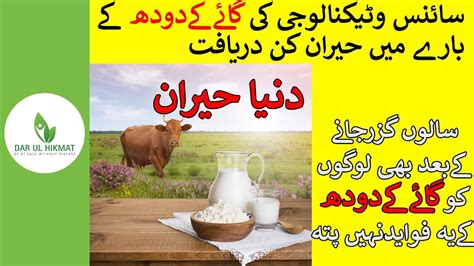 Cow Milk Benefits گاے کےدودھ کےفواید Urdu Hindi Dar ul Hikmat