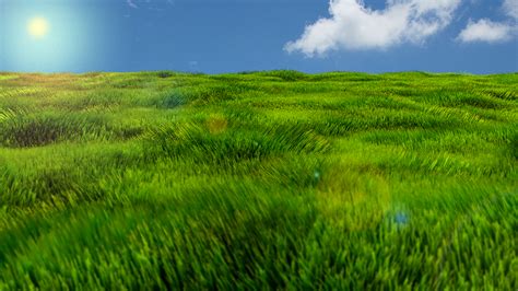 Grassy Meadow CG Cookie Learn Blender Online Tutorials And Feedback