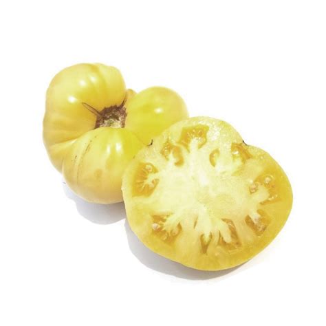 White Tomesol Tomato Heirloom 15 Seeds Etsy