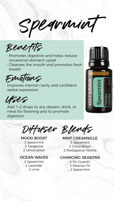 30 Spearmint Essential Oil Benefits Uses Diffuser Blends Desert