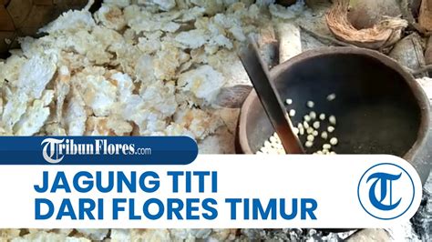 Mengenal Jagung Titi Makanan Khas Masyarakat Flores Timur YouTube