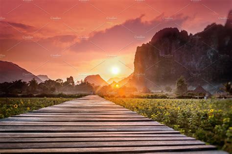 Sunset containing sunset, path, and nature | Nature Stock Photos ~ Creative Market