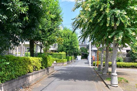 「府中」駅前の利便性を享受し、緑と潤いに恵まれた府中市美好町エリア 府中エリアガイド