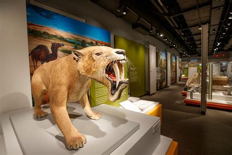 University of Nebraska State Museum of Natural History : About Us ...