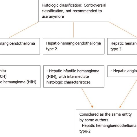 Histologic Classification Of Hepatic Hemangioendothelioma Download Scientific Diagram