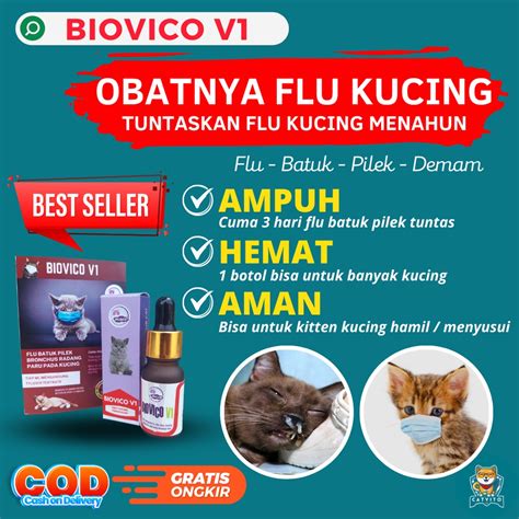 Jual BIOVICO V1 Obat Kucing FLU Pilek Demam Virus Kitten Antibiotik