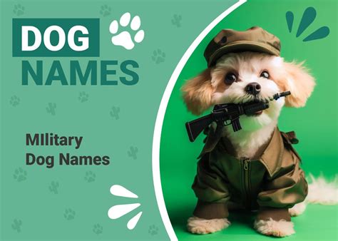 124 Military Dog Names: Popular Choices for Tough Canines – Dogster