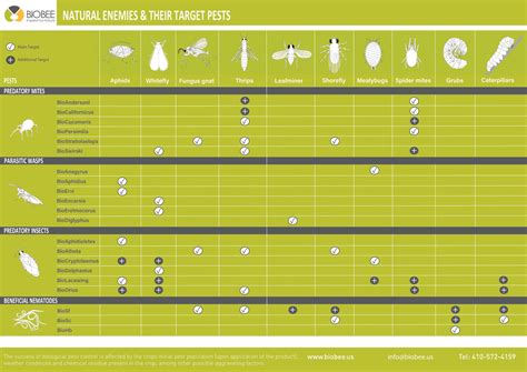 Main And Secondary Pest Chart By Langer Sandra Flipsnack