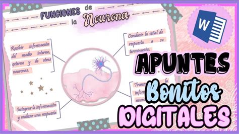 Como Hacer Un Organizador Visual En Word Mapa Mentalcuadro