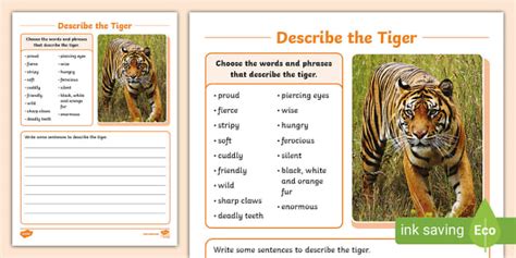 Describe The Tiger Writing Activity Sheet Tigers Twinkl