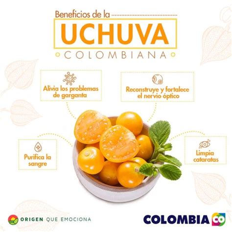 Frutas Acidas Colombianas Colombia Verde